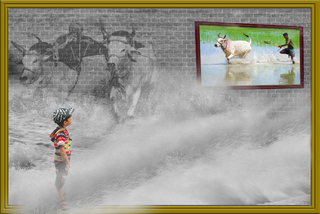 FRAME WITHIN FRAME 3