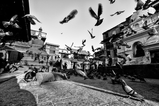 Kora around the stupa