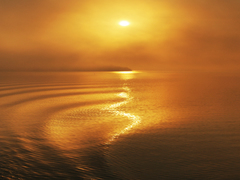 золоті хвилі