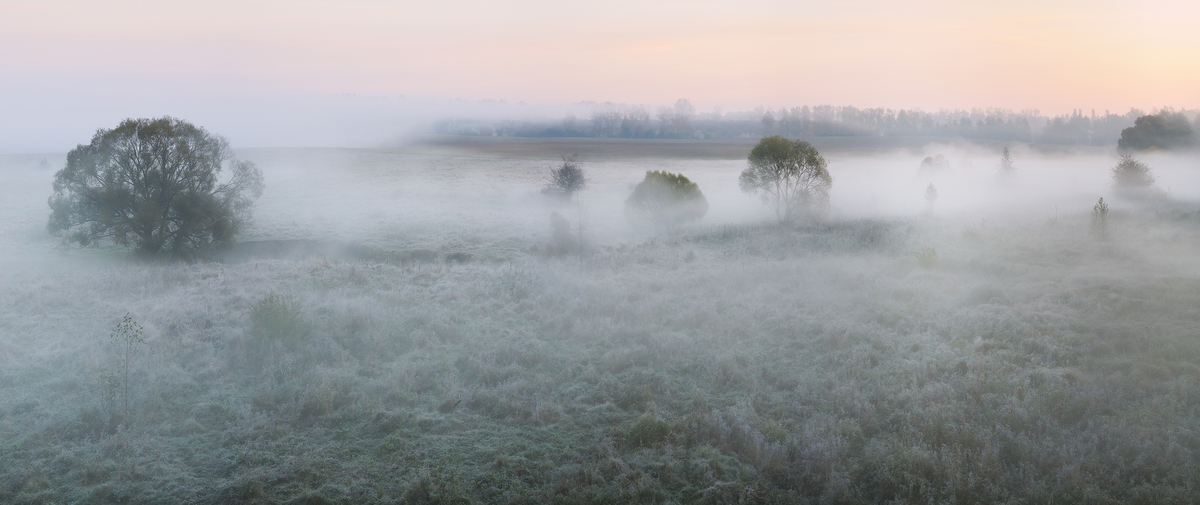 ранковий туман