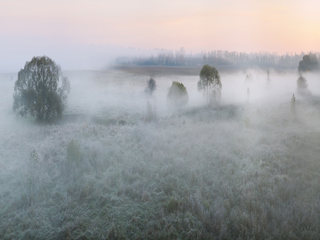 ранковий туман