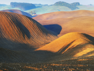 золота земля