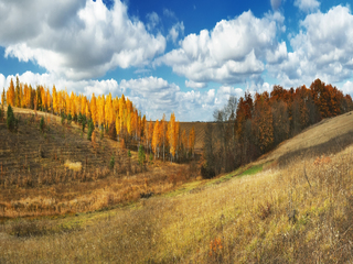 барви осені