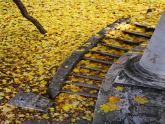 Autumn steps