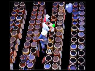 TRADITIONAL KNOWLEDGE