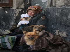 Людське тепло