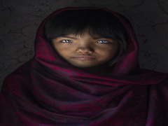 Blue eye girl champa