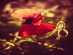 Дюймовочка з парасолькою