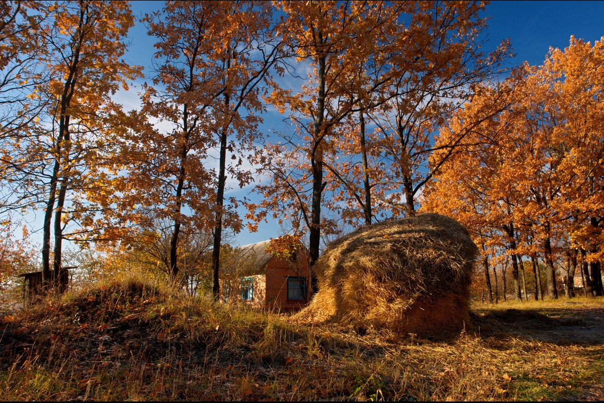 осінній смуток