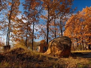 осінній смуток