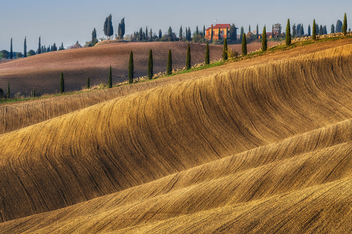 Golden fields of Tuscany