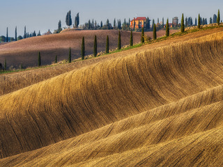 Golden fields of Tuscany