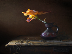 Про гордость и одиночество