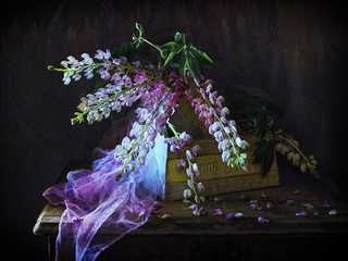 Люпиновые сны