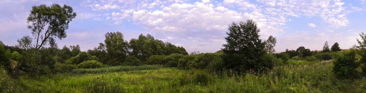 Гармония природы