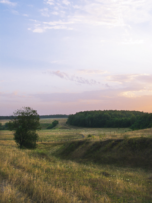 Вечерний свет