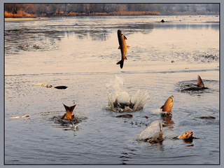 Боротьба за життя