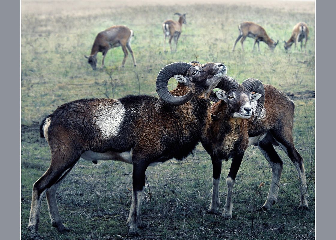 Я торкнуся до тебе