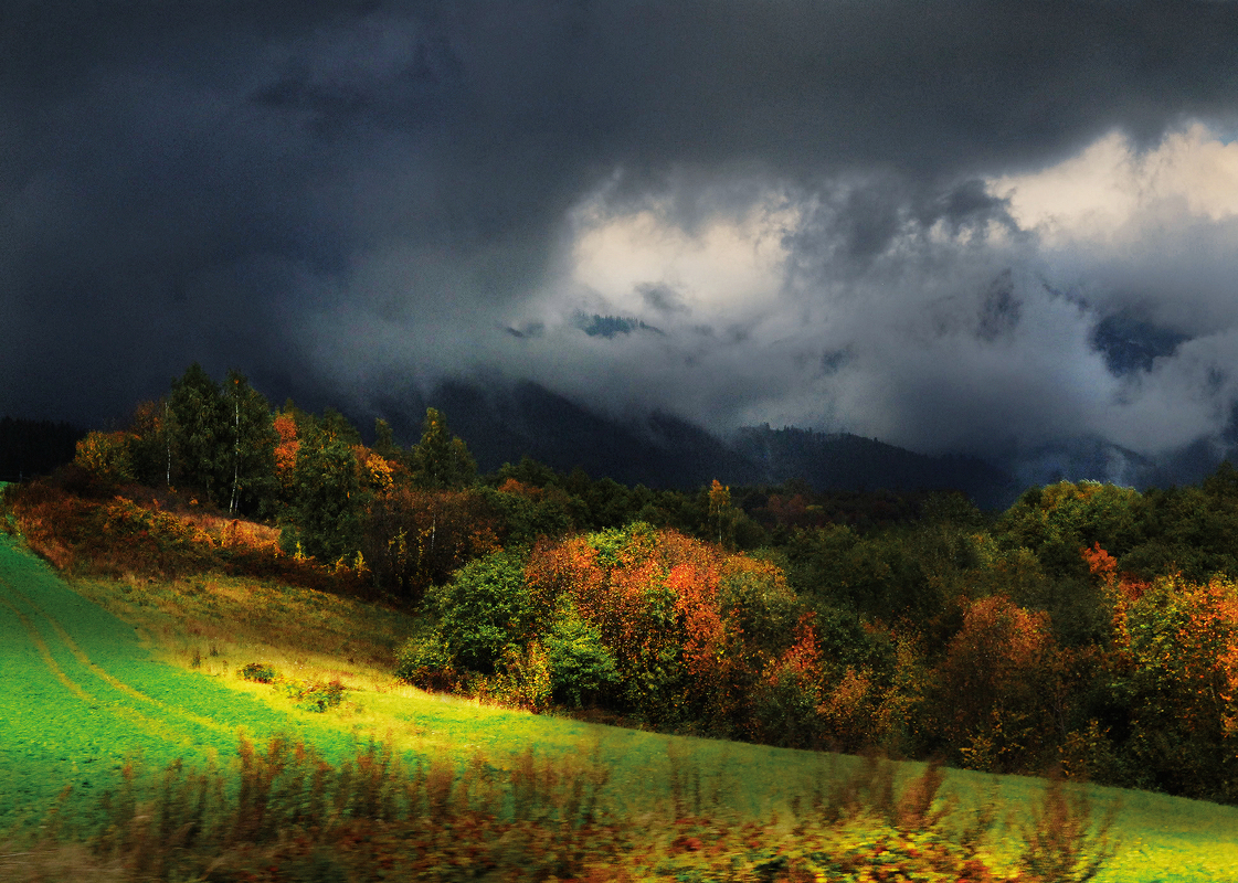 З грому і блискавки