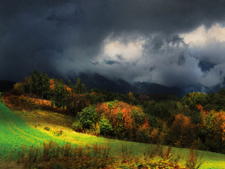 З грому і блискавки