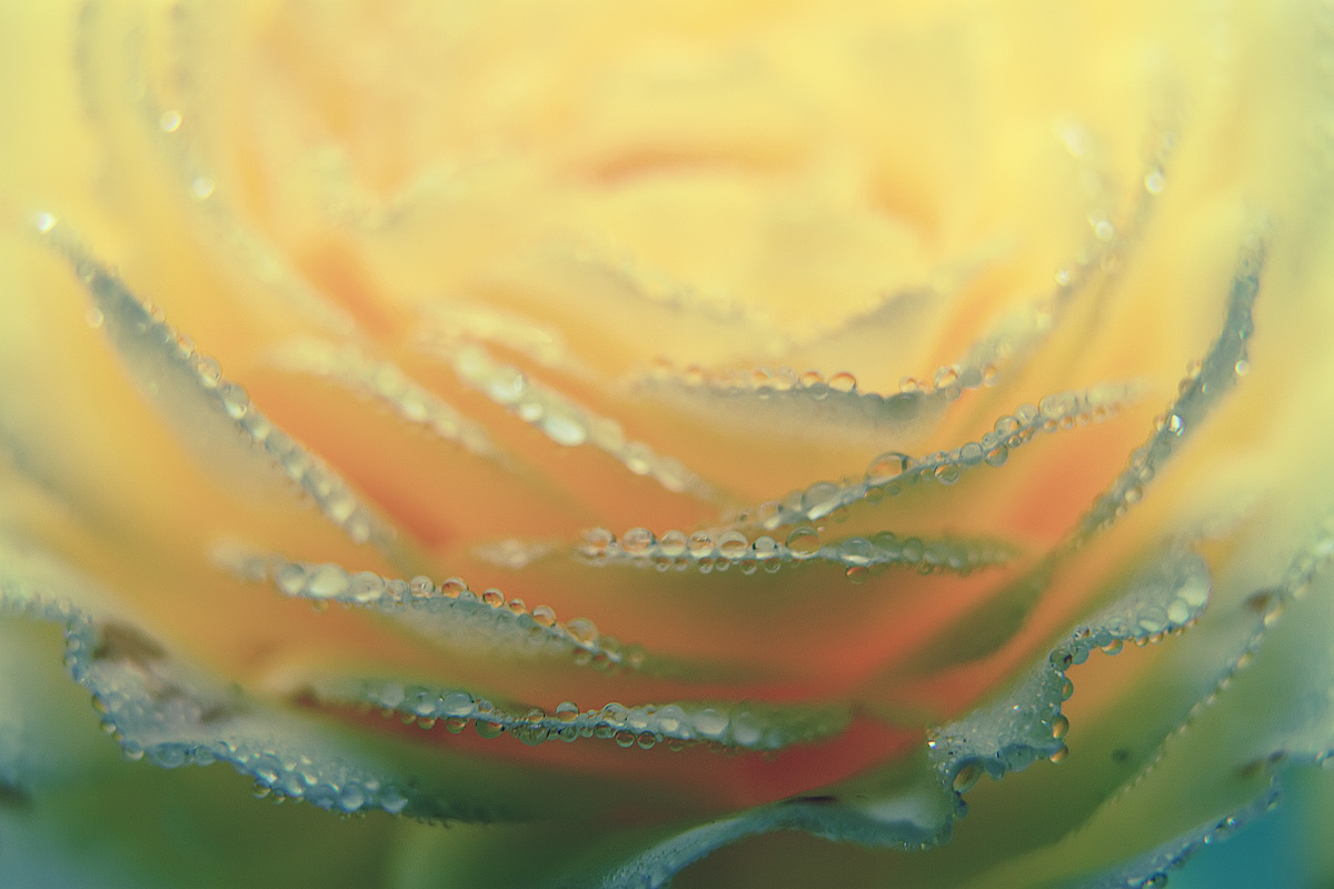  Ранкове намисто