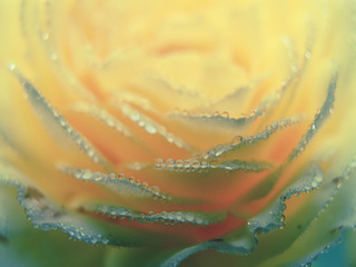 Ранкове намисто