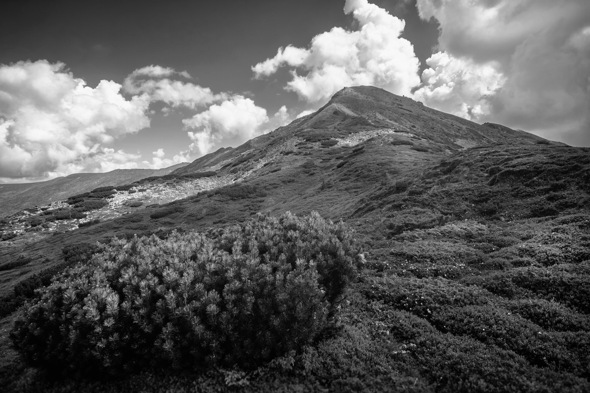 г.Піп-Іван. Карпати
