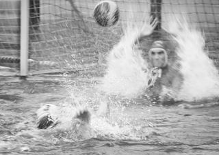 Водяний дракон