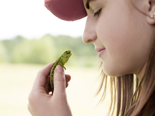 Душевна розмова