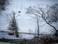 веселе дитинство