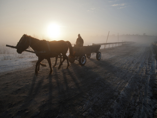 зимовим ранком