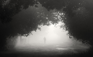 ранкова прогулянка