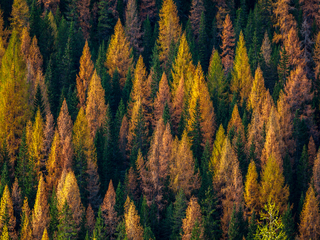 Природные краски.