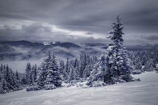 Догоняя зиму.