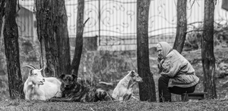 Воспоминания