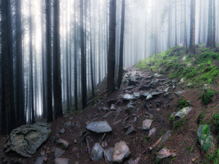 Туманными тропами