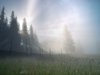 Рождение утра