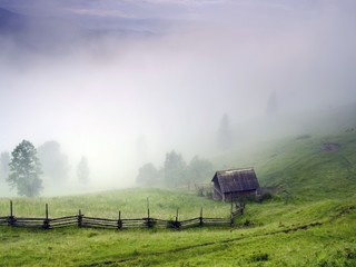Тихое утро в карпатах