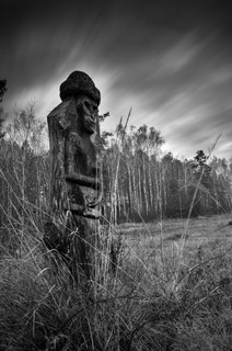 Тени предков