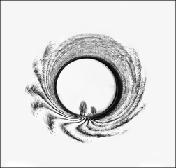 Isendica Experiment R