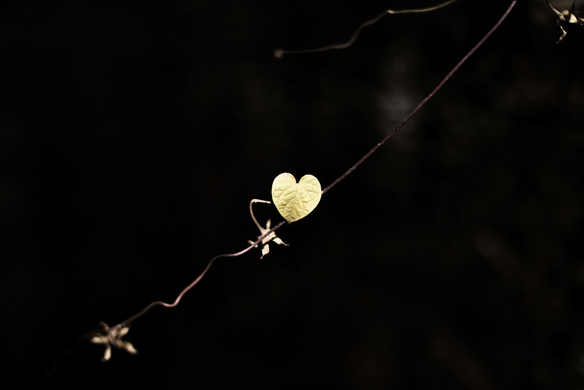 Одиночество