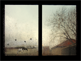 Autumn behind a window