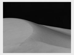 птах (з серії Мова зимова)