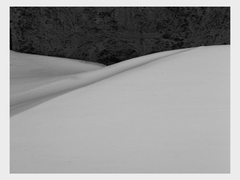 рана (з серії Мова зимова)