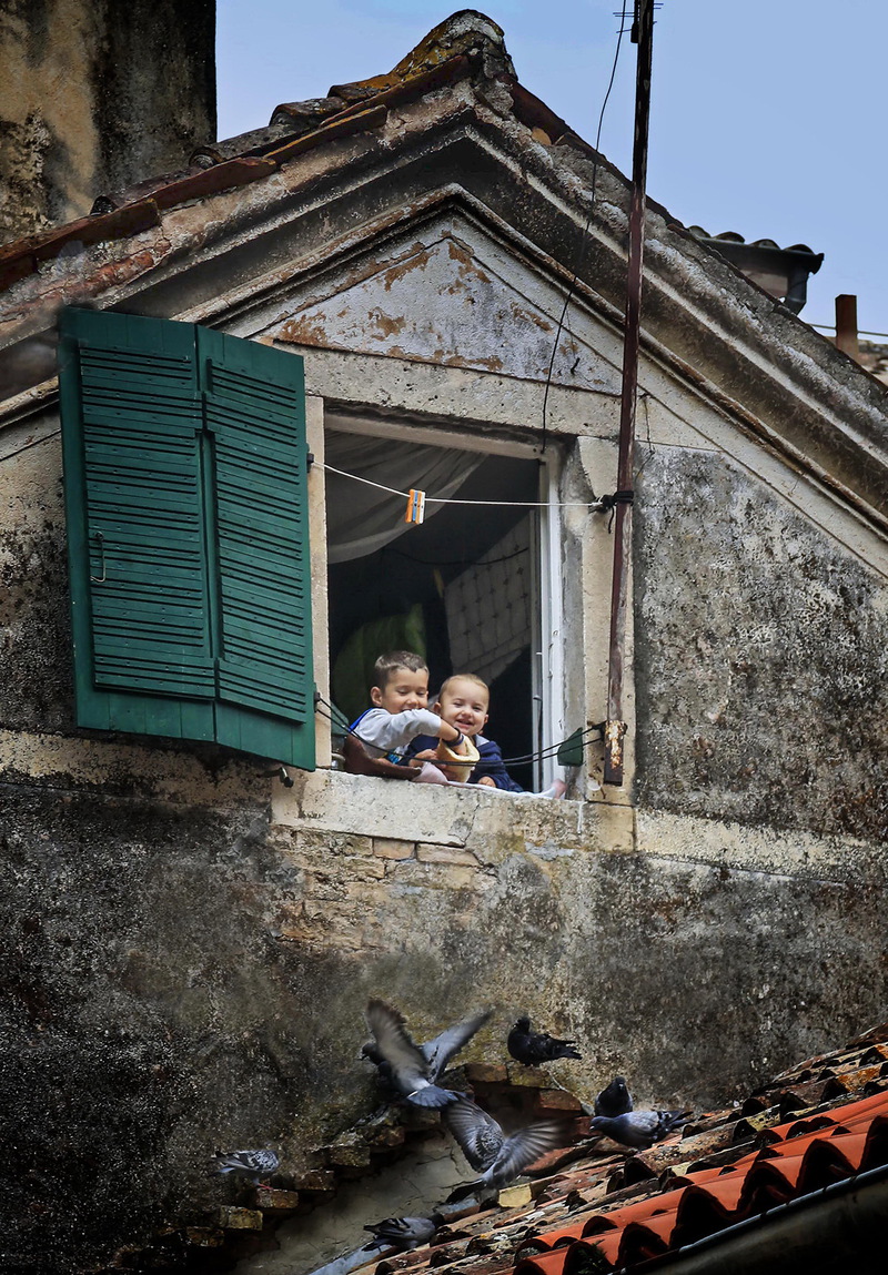 Children and pigeons