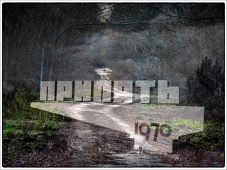 The ghosts of Chornobyl Zone 2