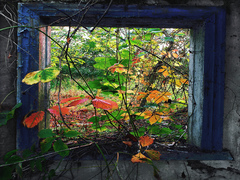 Вікно в осінь