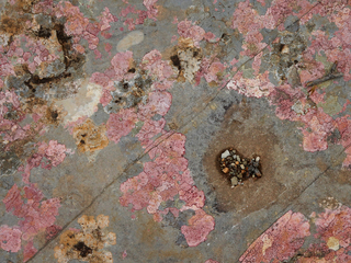 Жменька камінців