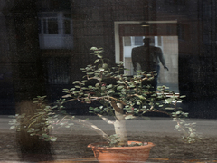 Скло об'єднує -6