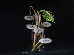 They were born last Tuesday